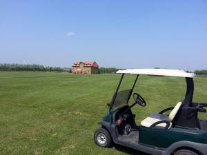 seals-golf