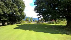 PRO-AM Golf