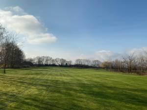 Kingsland 5 decembrie 2019