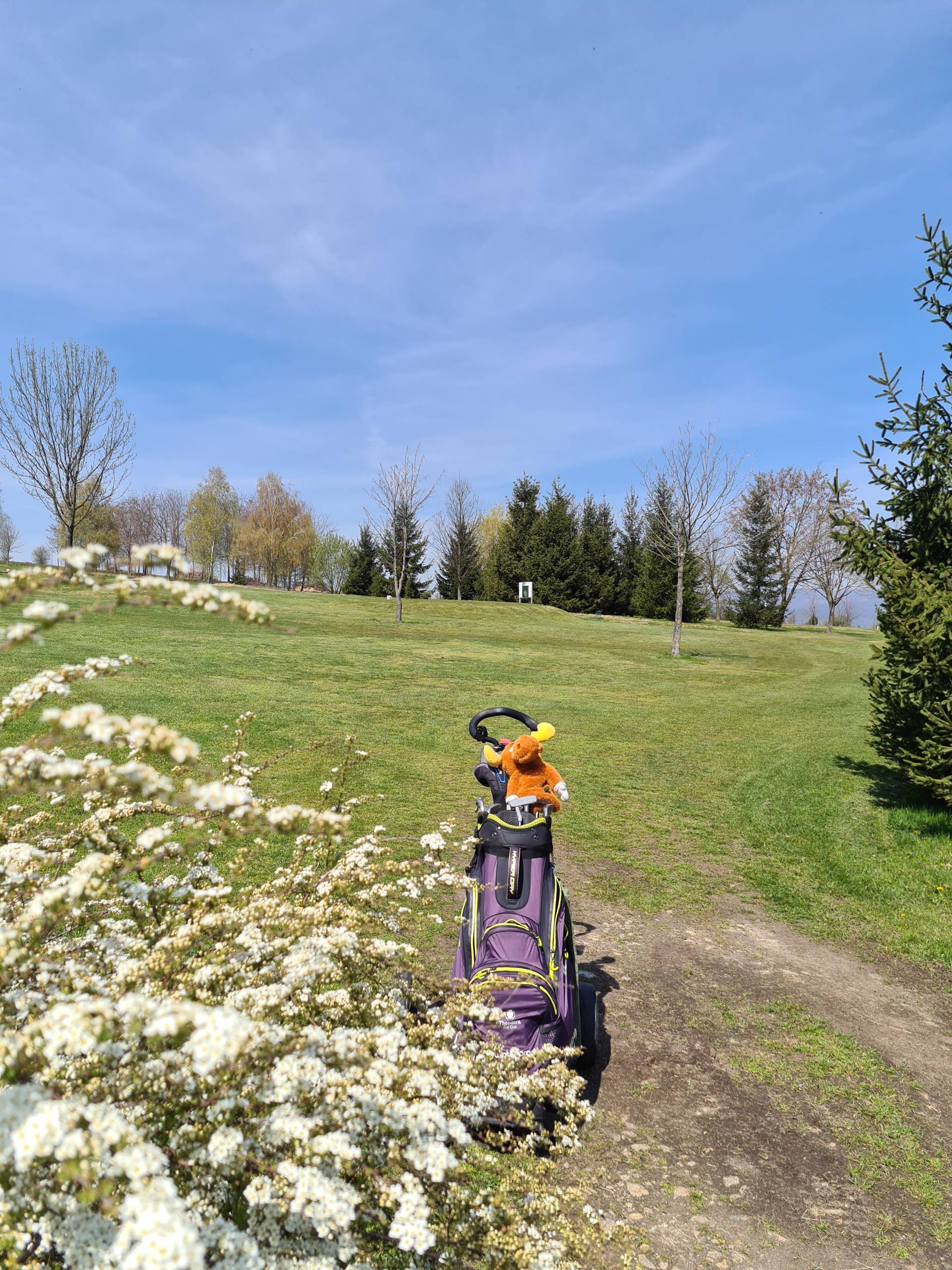 Flori(i)le la Golf Club Paul Tomita I Guest Post Mariana Gorczyca